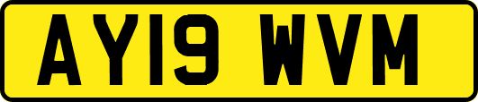 AY19WVM