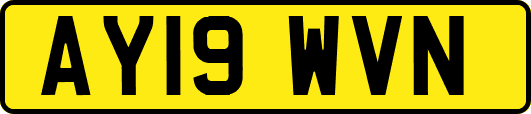 AY19WVN