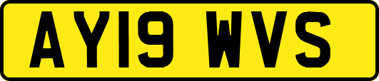 AY19WVS