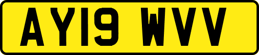 AY19WVV