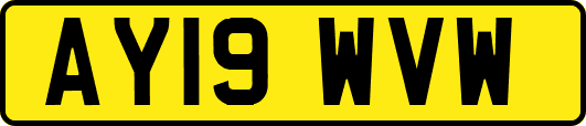 AY19WVW