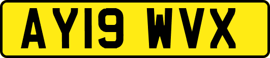 AY19WVX