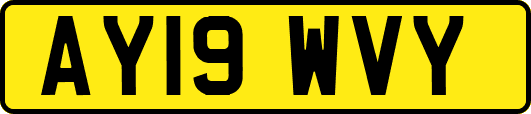 AY19WVY