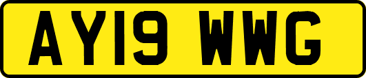 AY19WWG