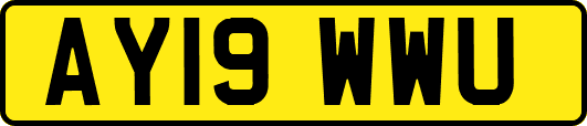 AY19WWU