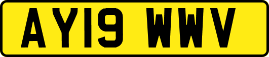 AY19WWV