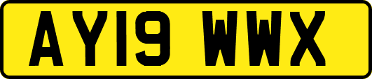AY19WWX