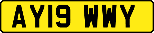 AY19WWY