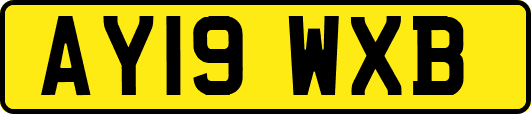 AY19WXB