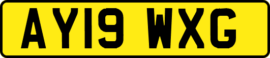 AY19WXG