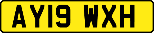 AY19WXH