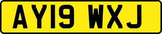 AY19WXJ