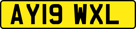 AY19WXL