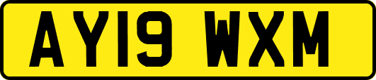 AY19WXM
