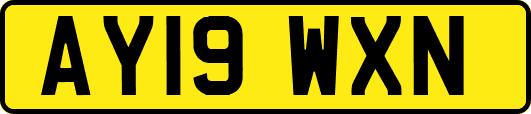 AY19WXN