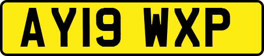 AY19WXP