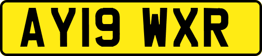 AY19WXR