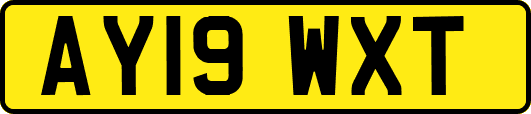 AY19WXT
