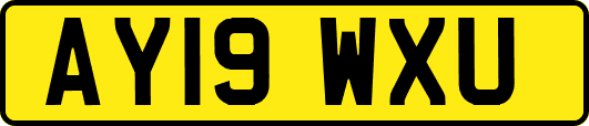 AY19WXU