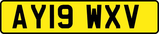 AY19WXV