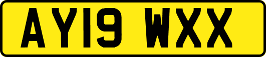 AY19WXX