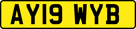 AY19WYB