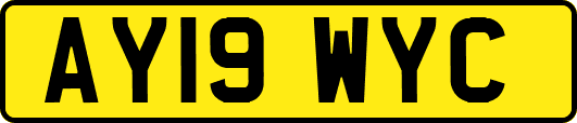 AY19WYC