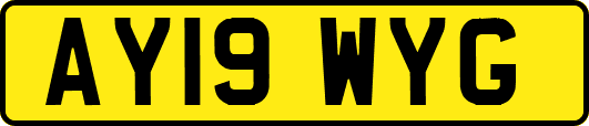 AY19WYG