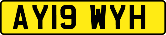 AY19WYH