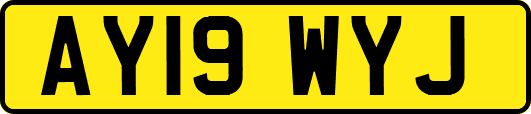 AY19WYJ
