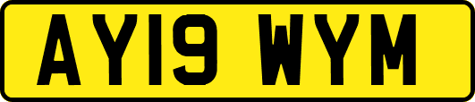 AY19WYM
