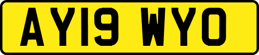 AY19WYO
