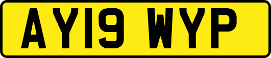 AY19WYP