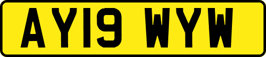 AY19WYW