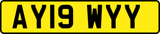 AY19WYY