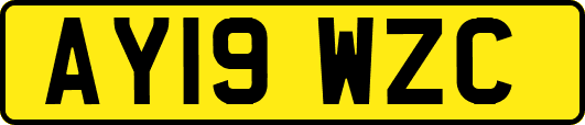 AY19WZC