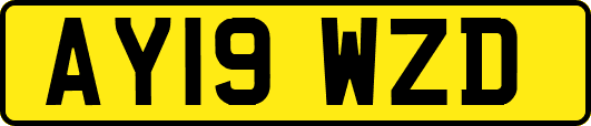 AY19WZD