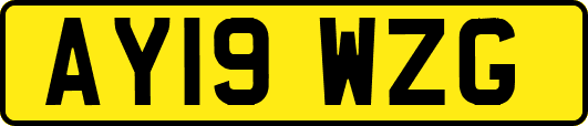 AY19WZG