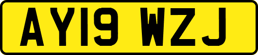 AY19WZJ