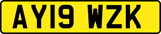 AY19WZK