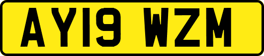 AY19WZM