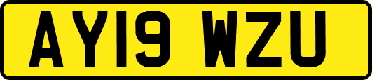 AY19WZU