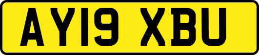 AY19XBU