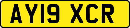 AY19XCR