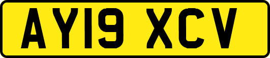 AY19XCV