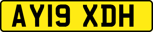 AY19XDH