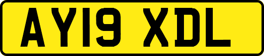 AY19XDL
