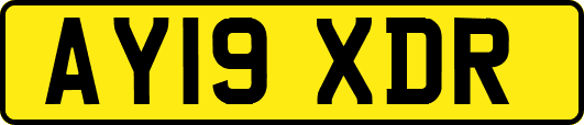 AY19XDR