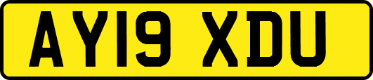 AY19XDU