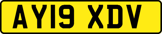 AY19XDV